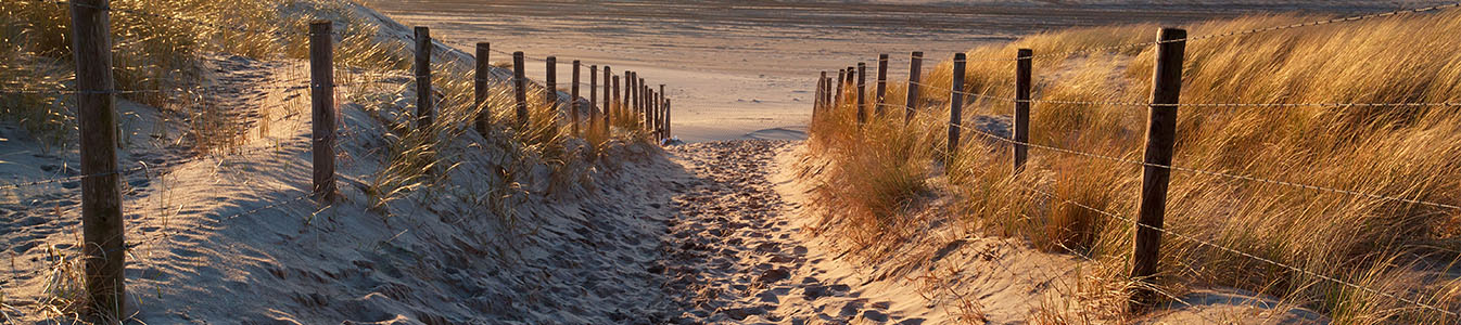 De mooiste verzekering? De overlijdensrisicoverzekering!